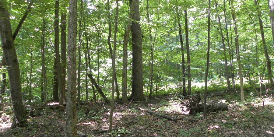 0000 W Coon Path Rd Road, Spencer, Indiana 47460,MLS,202525208