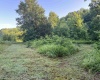 11456 E Robins Nest Drive, Springville, Indiana 47462,MLS,202525665