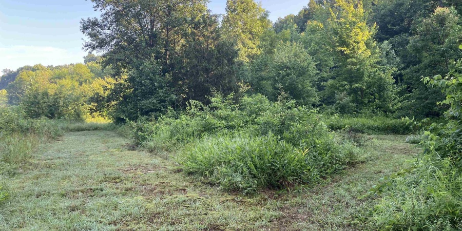 11456 E Robins Nest Drive, Springville, Indiana 47462,MLS,202525665
