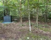 11456 E Robins Nest Drive, Springville, Indiana 47462,MLS,202525665