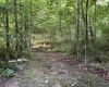 11456 E Robins Nest Drive, Springville, Indiana 47462,MLS,202525665
