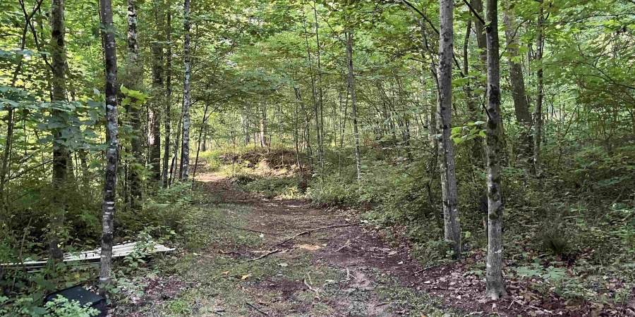 11456 E Robins Nest Drive, Springville, Indiana 47462,MLS,202525665