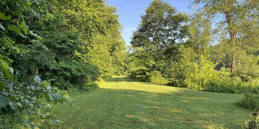 11456 E Robins Nest Drive, Springville, Indiana 47462,MLS,202525665