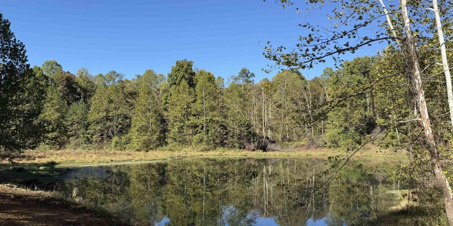 0 E Mineral Koleen Road, Owensburg, Indiana 47453,MLS,202439134