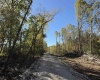 0 E Mineral Koleen Road, Owensburg, Indiana 47453,MLS,202439134