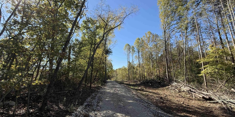 0 E Mineral Koleen Road, Owensburg, Indiana 47453,MLS,202439134