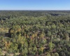 5 E Mineral Koleen Road, Owensburg, Indiana 47453,MLS,202439212