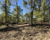 9 E Mineral Koleen Road, Owensburg, Indiana 47453,MLS,202439220