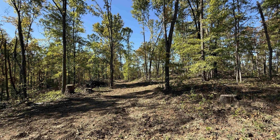 9 E Mineral Koleen Road, Owensburg, Indiana 47453,MLS,202439220