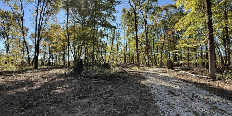 9 E Mineral Koleen Road, Owensburg, Indiana 47453,MLS,202439220