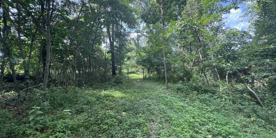 13911 W 150 N, Linton, Indiana 47441,MLS,202526044