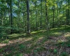 820 Combs Road, Nashville, Indiana 47448,MLS,202526374