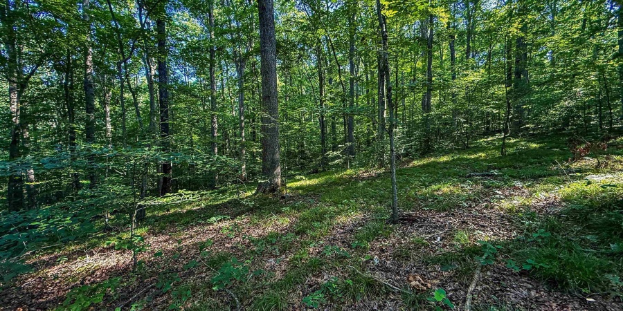 820 Combs Road, Nashville, Indiana 47448,MLS,202526374
