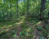 820 Combs Road, Nashville, Indiana 47448,MLS,202526374
