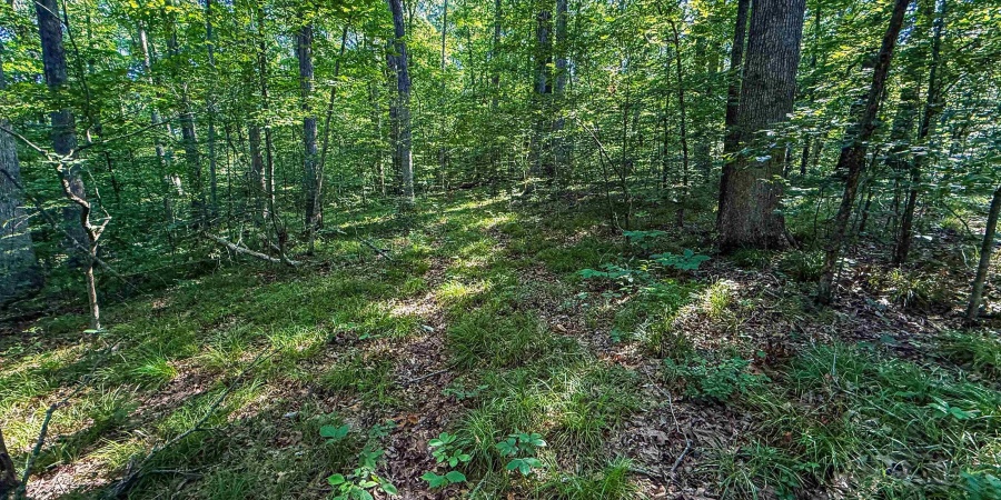 820 Combs Road, Nashville, Indiana 47448,MLS,202526374