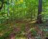820 Combs Road, Nashville, Indiana 47448,MLS,202526374