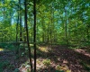 820 Combs Road, Nashville, Indiana 47448,MLS,202526374