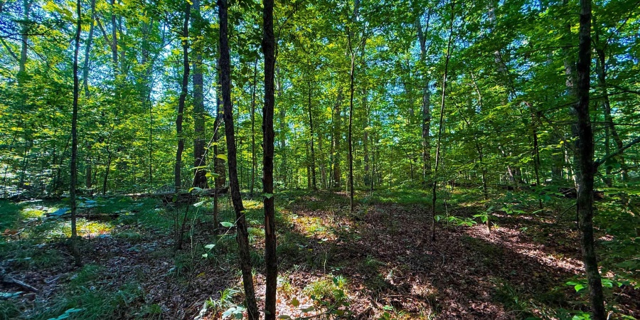 820 Combs Road, Nashville, Indiana 47448,MLS,202526374