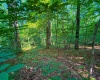 820 Combs Road, Nashville, Indiana 47448,MLS,202526374