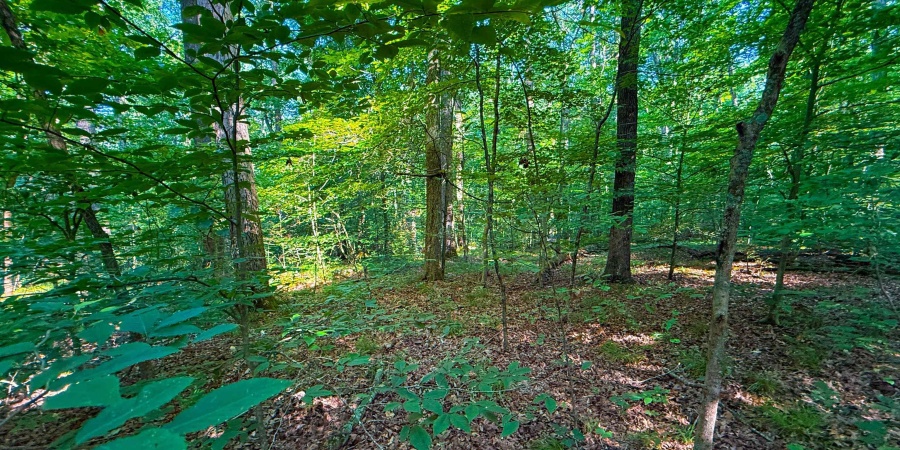 820 Combs Road, Nashville, Indiana 47448,MLS,202526374