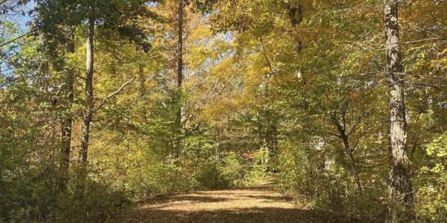 9970 N Brown Lane, Gosport, Indiana 47433,MLS,202526454