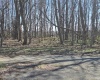 0 STATE ROAD 243 Road, Cloverdale, Indiana 46120,MLS,202509688