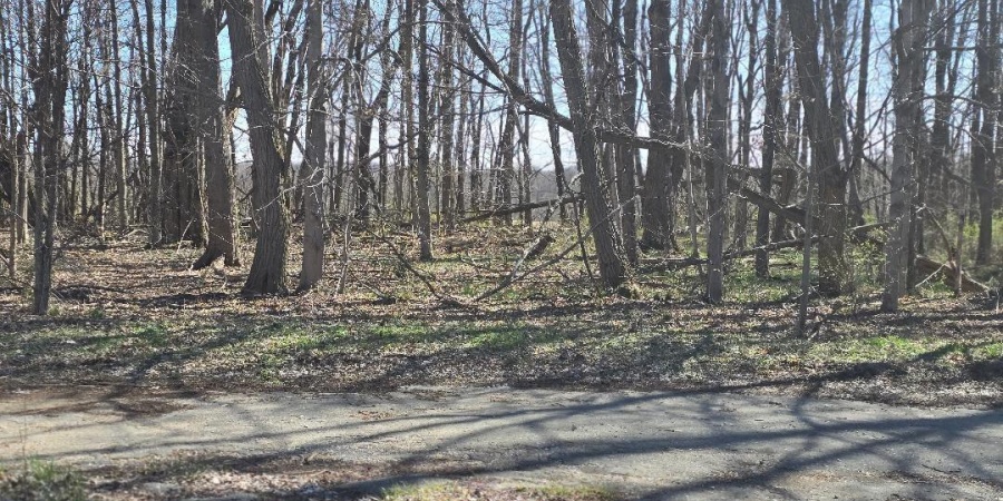 0 STATE ROAD 243 Road, Cloverdale, Indiana 46120,MLS,202509688