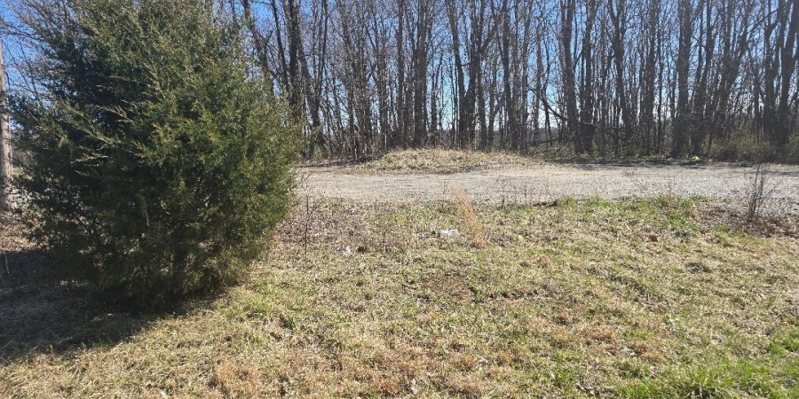 0 STATE ROAD 243 Road, Cloverdale, Indiana 46120,MLS,202509688