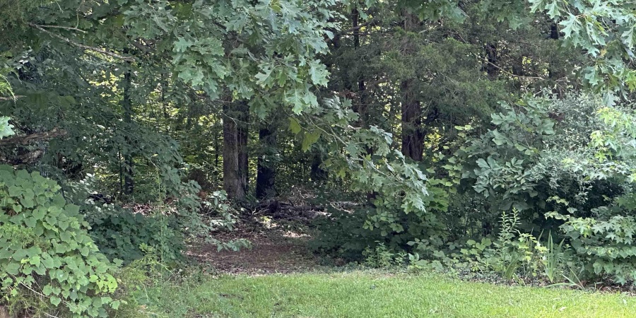 1045 S State Road 45 Road, Springville, Indiana 47462-6340,MLS,202526574