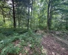 1045 S State Road 45 Road, Springville, Indiana 47462-6340,MLS,202526574