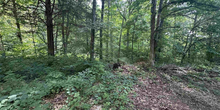 1045 S State Road 45 Road, Springville, Indiana 47462-6340,MLS,202526574