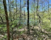2036 Silver Fox Drive, Martinsville, Indiana 46151,MLS,202433904