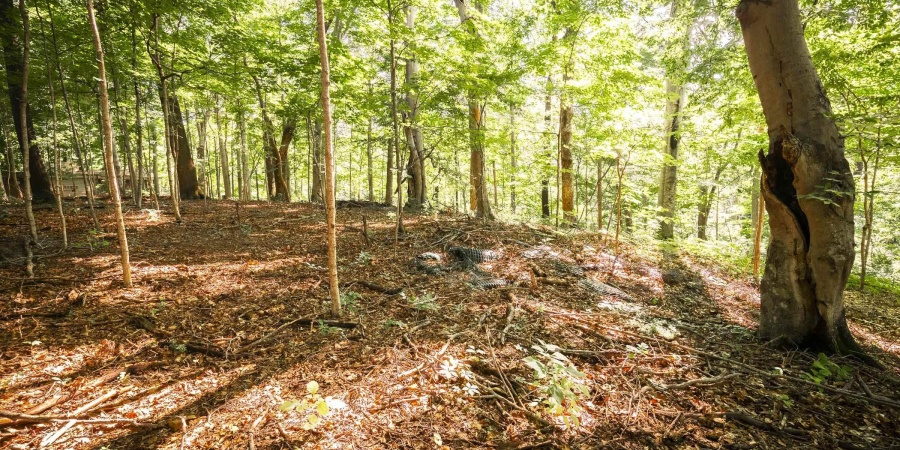 3128 E Moores Pike, Bloomington, Indiana 47401,MLS,202526673