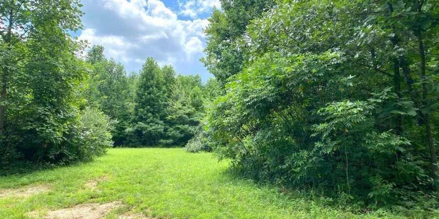000 N Shingle Mill Road, Bloomfield, Indiana 47424,MLS,202526936