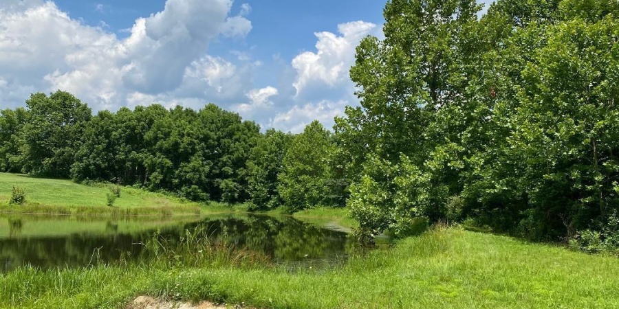 000 N Shingle Mill Road, Bloomfield, Indiana 47424,MLS,202526936