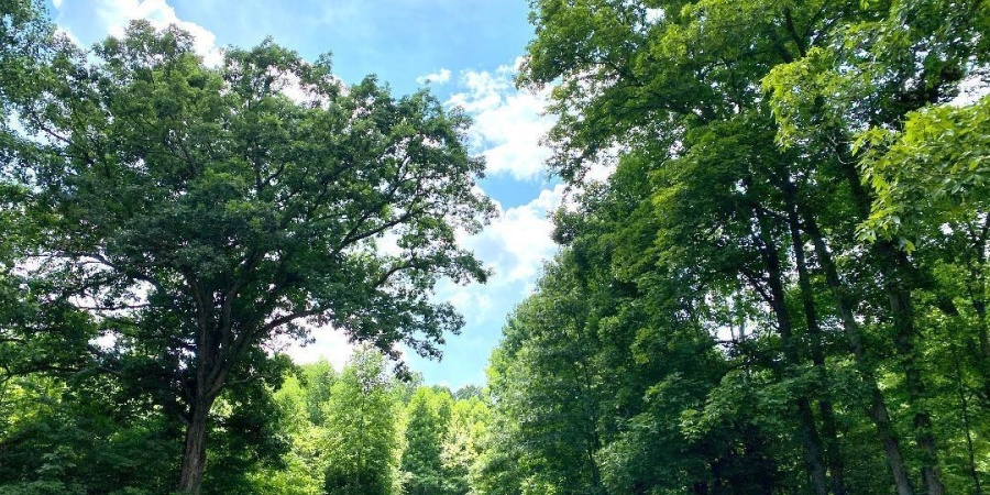 000 N Shingle Mill Road, Bloomfield, Indiana 47424,MLS,202526936