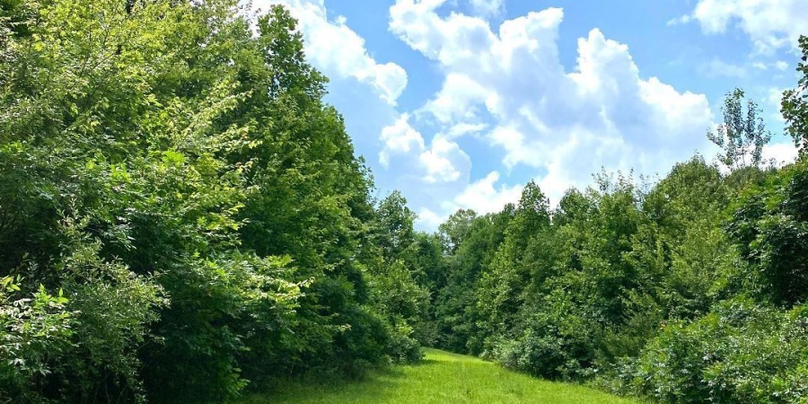 000 N Shingle Mill Road, Bloomfield, Indiana 47424,MLS,202526936