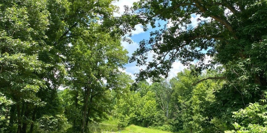 000 N Shingle Mill Road, Bloomfield, Indiana 47424,MLS,202526936
