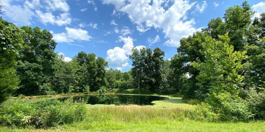 000 N Shingle Mill Road, Bloomfield, Indiana 47424,MLS,202526936