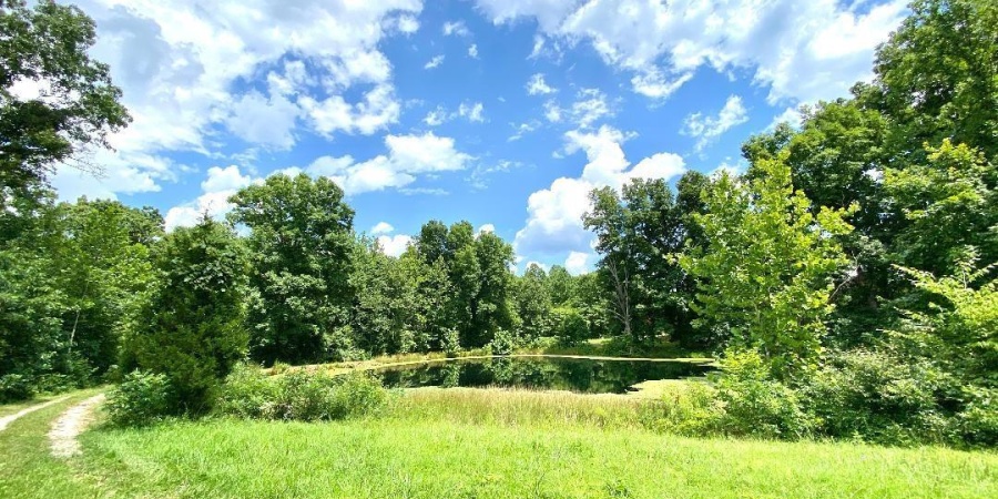 000 N Shingle Mill Road, Bloomfield, Indiana 47424,MLS,202526936