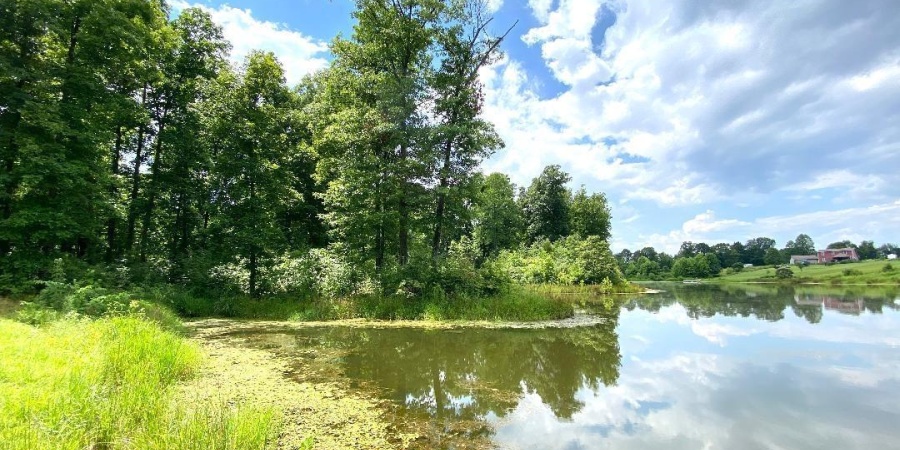 000 N Shingle Mill Road, Bloomfield, Indiana 47424,MLS,202526936