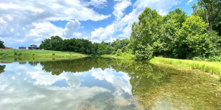 000 N Shingle Mill Road, Bloomfield, Indiana 47424,MLS,202526936