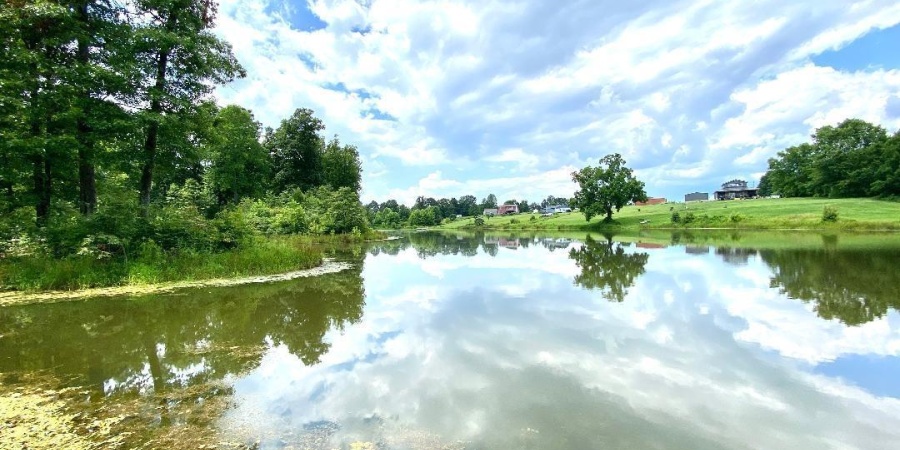 000 N Shingle Mill Road, Bloomfield, Indiana 47424,MLS,202526936