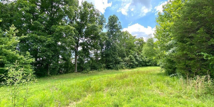 000 N Shingle Mill Road, Bloomfield, Indiana 47424,MLS,202526936