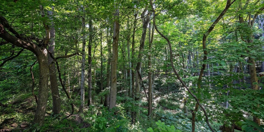 Newport Road, Bowling Green, Indiana 47833,MLS,202527060