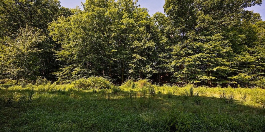 Newport Road, Bowling Green, Indiana 47833,MLS,202527060
