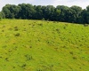 Newport Road, Bowling Green, Indiana 47833,MLS,202527060
