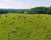 Newport Road, Bowling Green, Indiana 47833,MLS,202527060