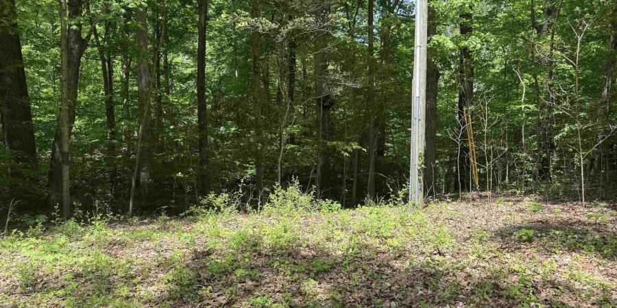 0000 N Lahr Drive, Martinsville, Indiana 46151,MLS,202527097