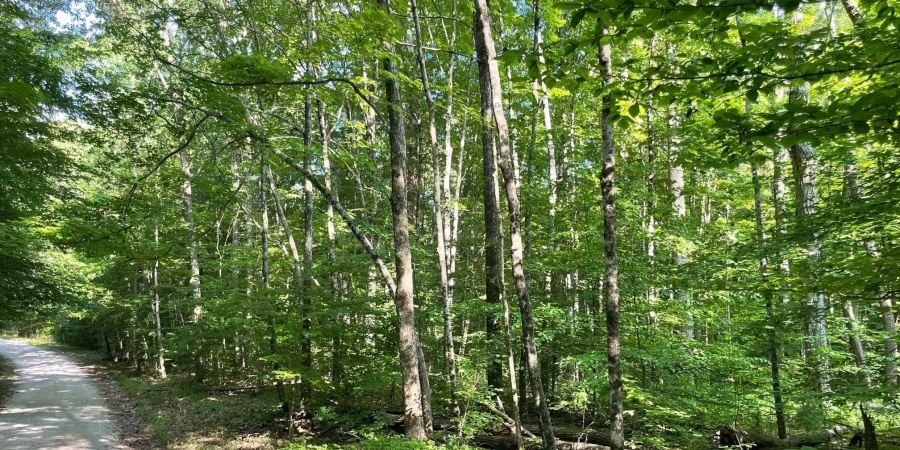 6630 E Rust Road, Unionville, Indiana 47468,MLS,202527391